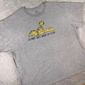 Garfield Men's Graphic T-Shirt Sz 3XL Gray "I'm Only Lazy When I'm Awake" Funny